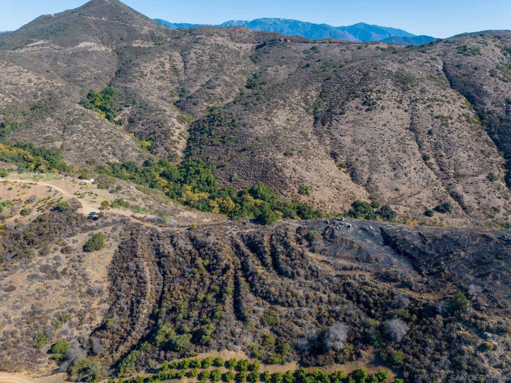 MLS #250022588SD img 3