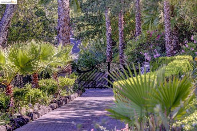Image 40 of 56 For 4146 Canyon Rd