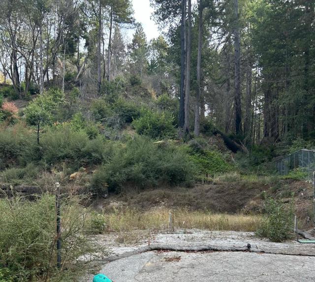 133 Lake Drive, Boulder Creek CA: https://media.crmls.org/mediaz/bbd35fc8-55e6-45da-ad1b-a3ee1213a768.jpg