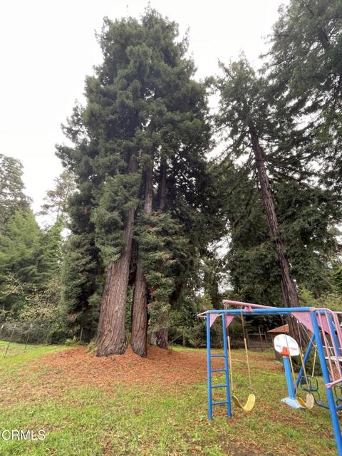 Detail Gallery Image 59 of 70 For 14875 Atkins Way, Fort Bragg,  CA 95437 - 3 Beds | 2 Baths