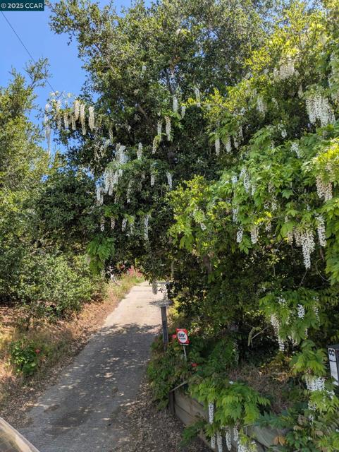 7618 Sunkist Dr, Oakland CA: https://media.crmls.org/mediaz/bbdced12-1354-4ca5-8398-991bb3c85cdc.jpg