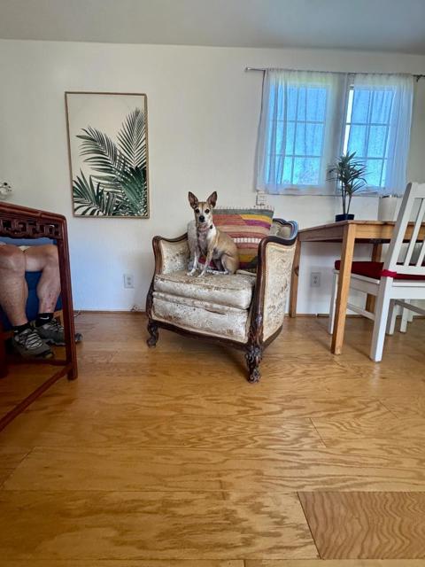 2120 N Pacific Avenue, Santa Cruz CA: https://media.crmls.org/mediaz/bbdf49f4-35b8-471f-b94e-c12bb8b5bf24.jpg