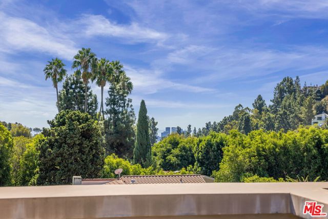 1845 Coldwater Canyon Drive photo 21
