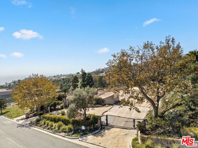 827 Lachman Lane photo 6