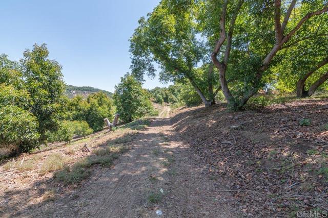 3137 E Valley Parkway, Escondido CA: https://media.crmls.org/mediaz/bbf79908-7ba5-4abe-9c8c-43c6ea176fc6.jpg