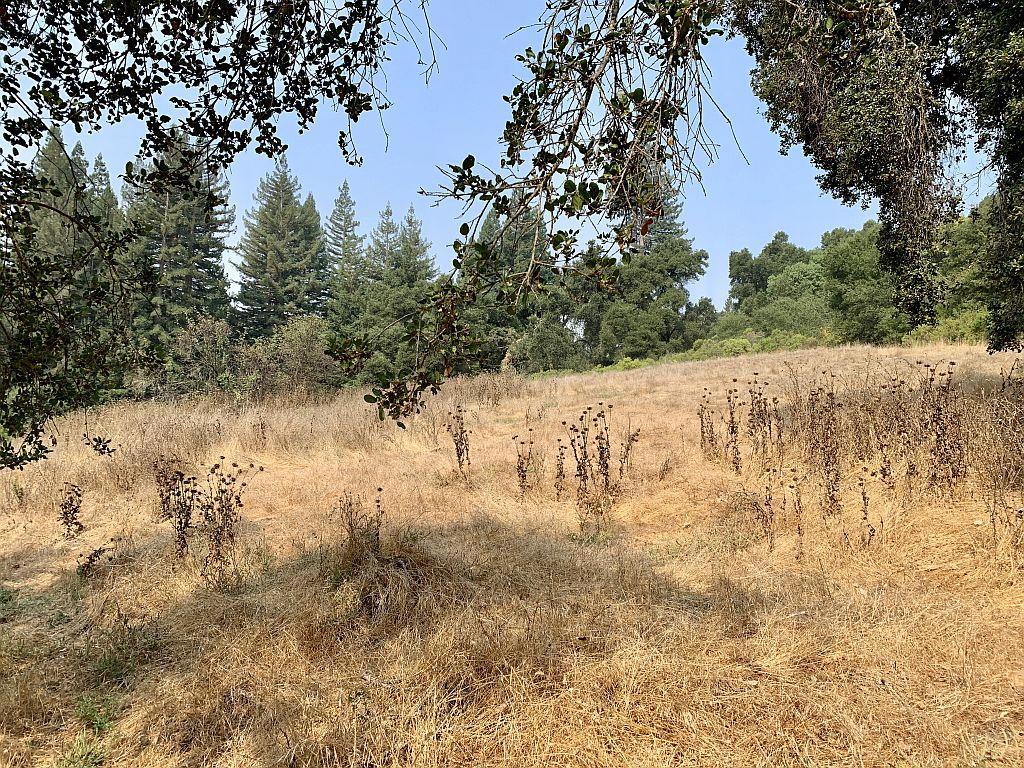 MLS #ML81810757 image #31