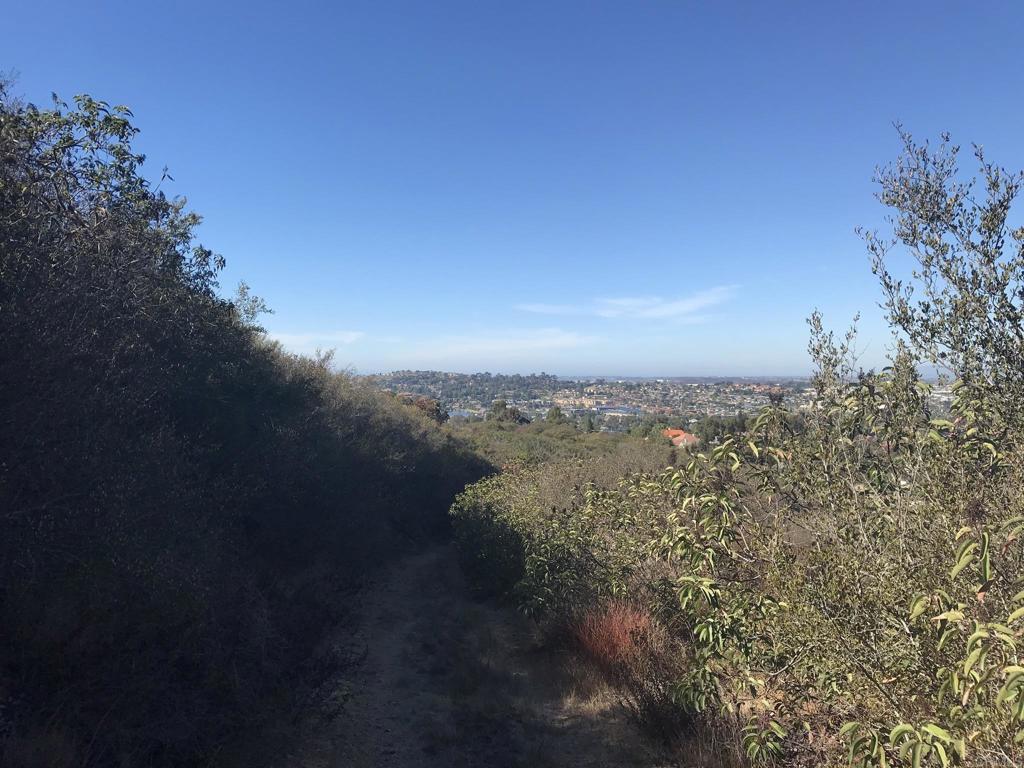 MLS #NDP2508571 image #5