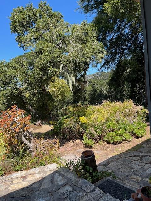 24368 San Juan Road, Carmel CA: https://media.crmls.org/mediaz/bc1a8482-8a6f-4d62-9fa5-cc074adda15f.jpg