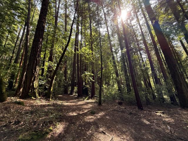 0 Slate Creek Rd., La Honda CA: https://media.crmls.org/mediaz/bc1abe4a-3f7d-4781-b3f8-795285e8a60d.jpg