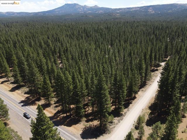 45 Claireville RD, Portola CA: https://media.crmls.org/mediaz/bc1fb9a9-8d36-472d-93be-916fd49c71d4.jpg
