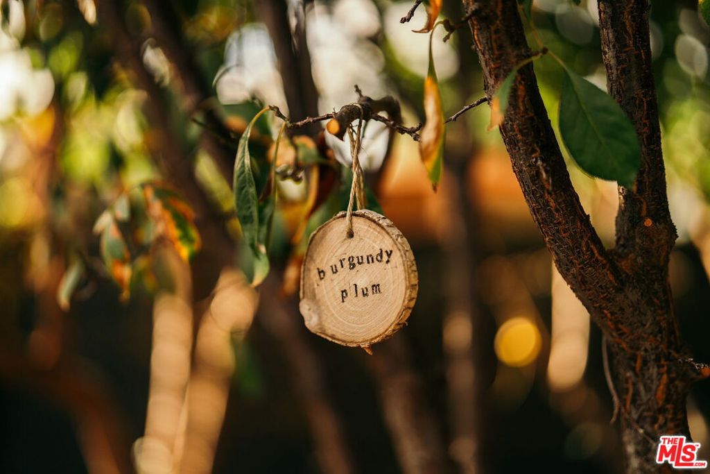 https://media.crmls.org/mediaz/bc2f6187-39ed-4e68-9925-df0fc42d1b3b.jpg?preset=X-Large