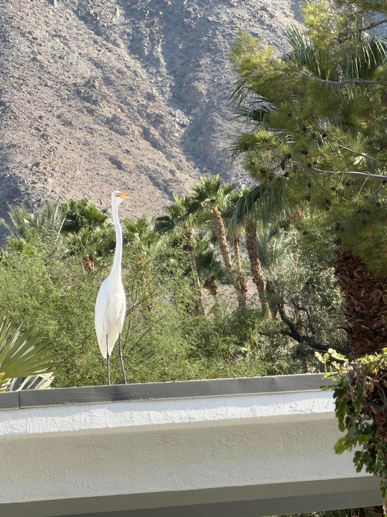 MLS #219136122DA image #45