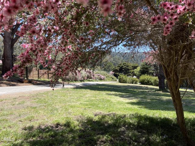 45300 Headlands Drive, Mendocino CA: https://media.crmls.org/mediaz/bc30e1c4-79a3-4223-b30f-e145e000c3ac.jpg