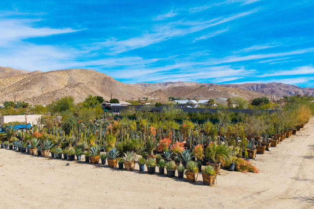 16961 Evans Lane Lane, Desert Hot Springs CA: https://media.crmls.org/mediaz/bc32438a-d333-4f42-a1fd-f0c41036734b.jpg