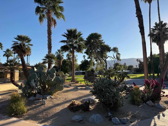 Detail Gallery Image 45 of 50 For 1010 Palm Canyon Dr #264,  Borrego Springs,  CA 92004 - 2 Beds | 2 Baths