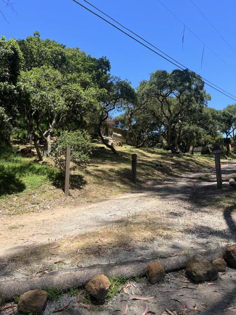 17160 Wilson Way, Royal Oaks CA: https://media.crmls.org/mediaz/bc4408fe-b1d0-4d5e-b0e0-a91f0b881cd7.jpg