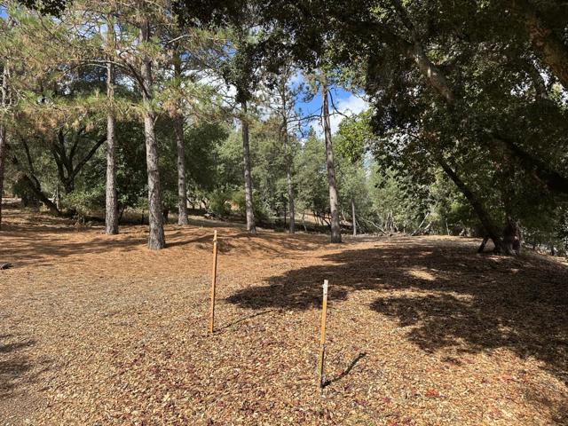 7415 Hihn Road, Ben Lomond CA: https://media.crmls.org/mediaz/bc446b02-2dc4-43f7-b88c-a6bd610be187.jpg