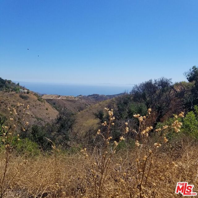 29162 Upper Ramirez Motor Way photo 7