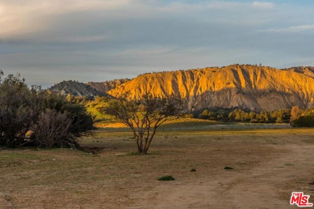 29433 Highway 33 Highway, Maricopa CA: https://media.crmls.org/mediaz/bc4d9df0-ba48-4169-8539-9236ee59dee6.jpg