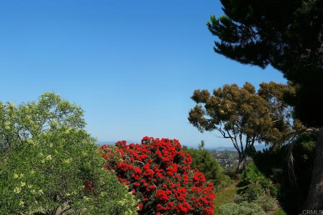 407 Via Ultimo, Encinitas CA: https://media.crmls.org/mediaz/bc53caa1-a5b5-4acb-8e79-2c58f95450ee.jpg