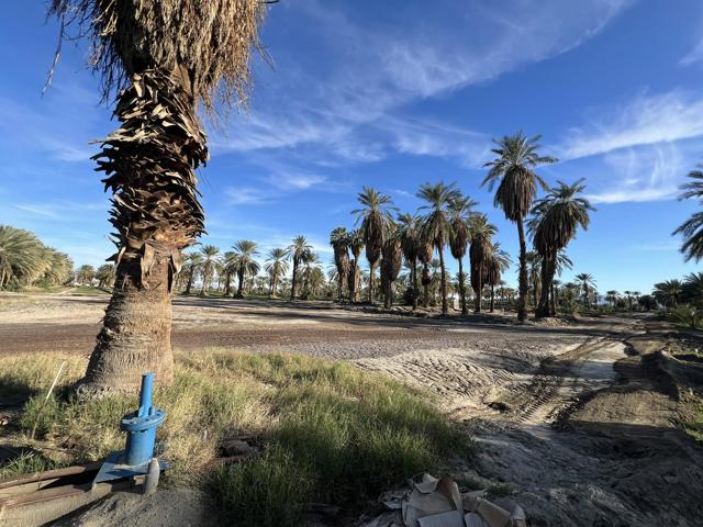 0 Nwc Pierce St & Ave 64, Thermal CA: https://media.crmls.org/mediaz/bc56ec74-c6a7-459d-a980-960eb8380360.jpg