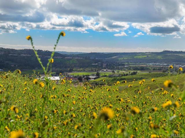 0 Chisholm Trail, Bonsall, California 92003, ,Land,For Sale,0 Chisholm Trail,CRNDP2400890