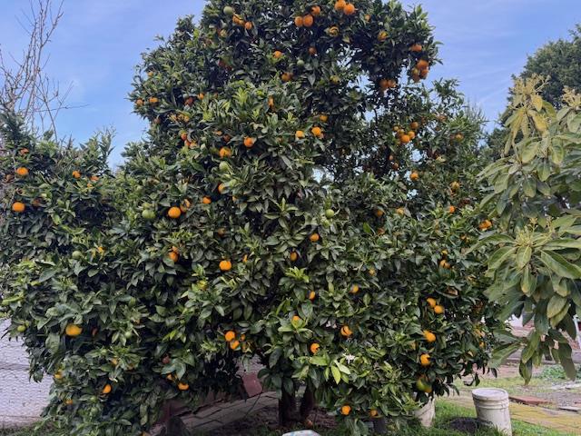 Image 17 of 31 For 18171 Berta Canyon Road