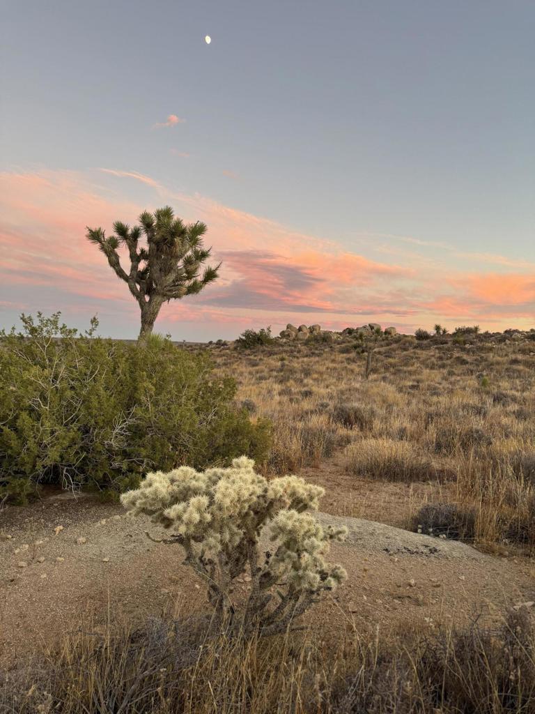 MLS #219137921DA image #2