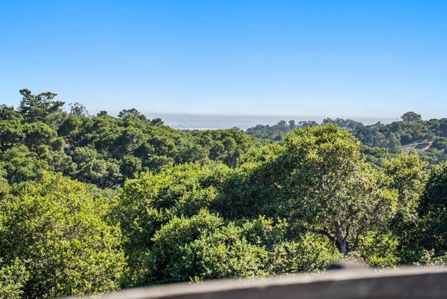 19250 Reavis Way, Salinas CA: https://media.crmls.org/mediaz/bc615b5a-2ee5-461c-b85c-41334415d9ff.jpg