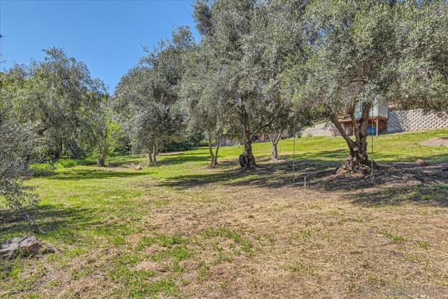 4359 Date Ave, La Mesa CA: https://media.crmls.org/mediaz/bc6214f9-7d6d-4492-a42f-e7c96cacd885.jpg