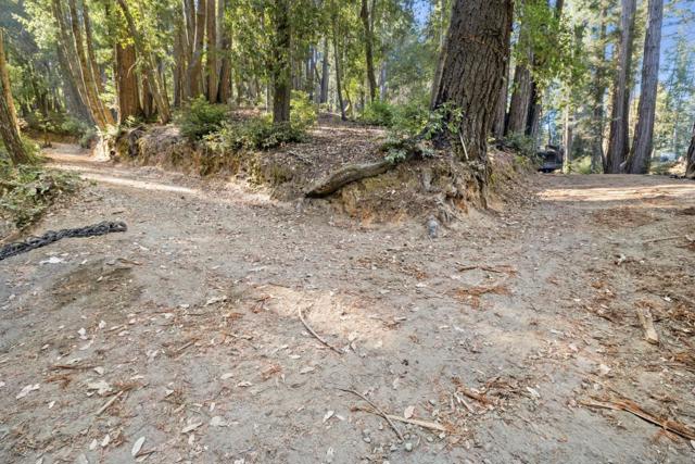 0 Western, Brookdale CA: https://media.crmls.org/mediaz/bc660a51-efe5-4731-af7e-ae4eec61b67b.jpg