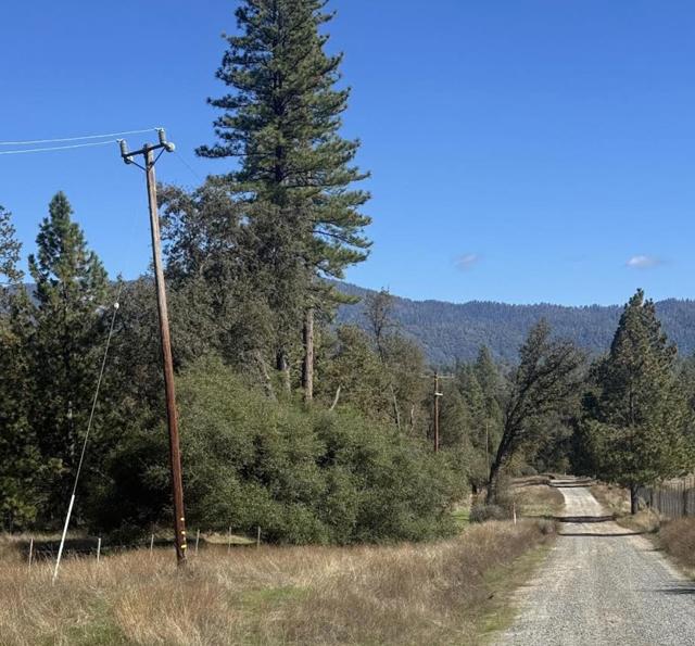 2795 State Highway 49, Mariposa CA: https://media.crmls.org/mediaz/bc6c4904-6c31-4bf8-a415-0d1c40e8a096.jpg