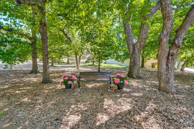 1278 Poker Flat Place, San Jose CA: https://media.crmls.org/mediaz/bc6ce21a-8e2a-4877-9dc6-a24fef733769.jpg