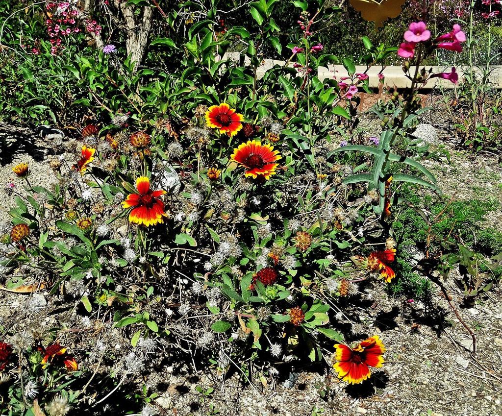 https://media.crmls.org/mediaz/bc85c9f5-4b18-440a-bdba-2bbc8b608a87.jpg?preset=X-Large