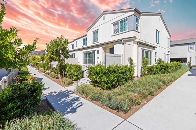 Front Image Thumbnail for CRNDP2509691