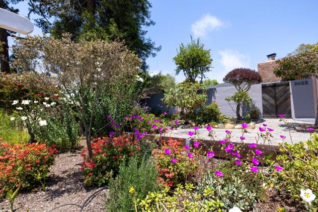 3483 Ocean Avenue, Carmel CA: https://media.crmls.org/mediaz/bc8bfa2d-143a-4b84-8954-8aacb22c6e73.jpg