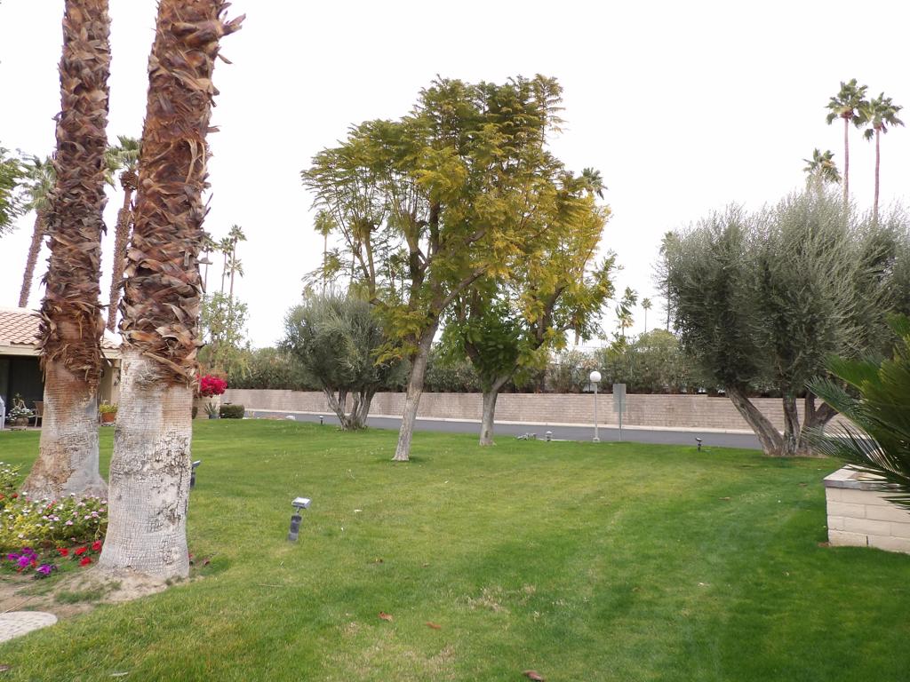 MLS #219137065DA image #23