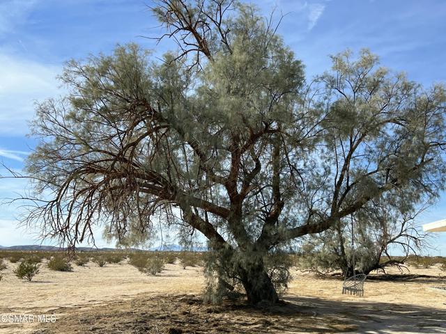 3904 Agua Avenue, 29 Palms CA: https://media.crmls.org/mediaz/bc9340a5-d253-47a6-b0a6-e718c4645544.jpg
