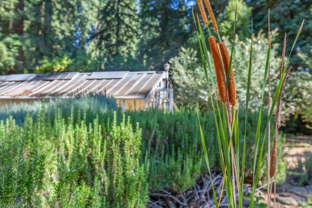 22370 Old Santa Cruz Highway, Los Gatos CA: https://media.crmls.org/mediaz/bc99eb1c-1d50-468a-91b2-e8763cb06a1b.jpg