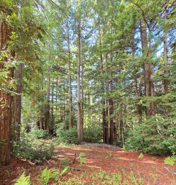 1140 Warren Drive, Santa Cruz CA: https://media.crmls.org/mediaz/bcb4ece3-7636-4796-a0f8-f84e03a54120.jpg