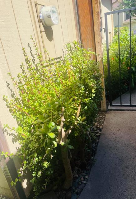 2101 Darnis Circle, Morgan Hill CA: https://media.crmls.org/mediaz/bcb63148-7d59-4027-b5c0-433732a02739.jpg