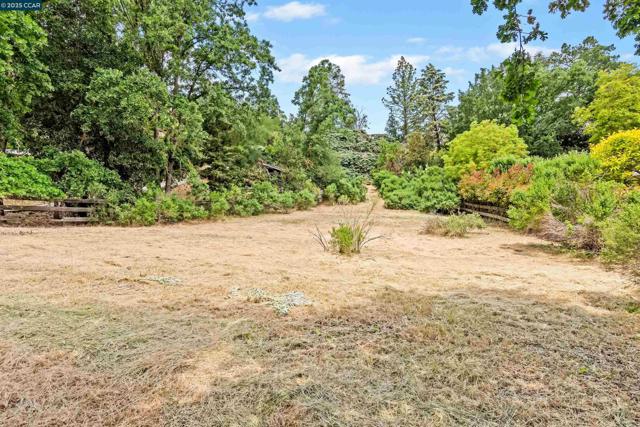 1810 Meadow Lane, Walnut Creek CA: https://media.crmls.org/mediaz/bcc2a4bf-01c3-40ae-bd2f-d2a68bed7a77.jpg