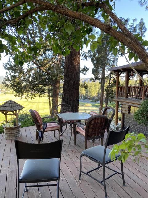 43133 Sheephorn Rd, Big Bear CA: https://media.crmls.org/mediaz/bcd49cb7-0342-4f37-bd8e-098bc7a2db99.jpg
