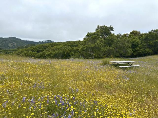 8 Corral Run, Carmel CA: https://media.crmls.org/mediaz/bcdd78c7-0f1a-4a9a-9030-aa9cc8ca4adb.jpg