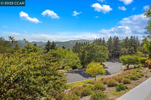 316 Village View Ct, Orinda CA: https://media.crmls.org/mediaz/bcde52ed-d28d-4505-b820-649fcfe7c5f5.jpg