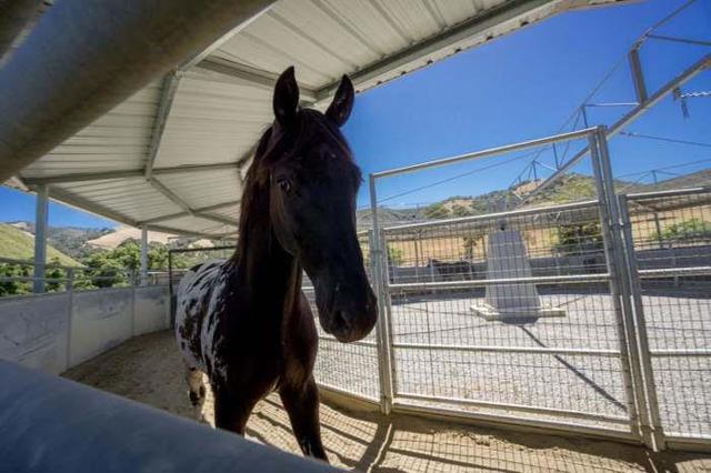 350 San Benancio Road, Salinas CA: https://media.crmls.org/mediaz/bce14733-8110-4021-a2ba-b1d99994eaf8.jpg