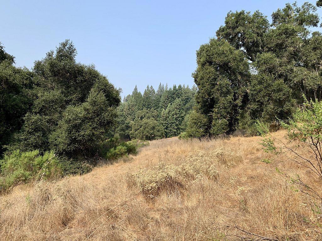 MLS #ML81810757 image #47