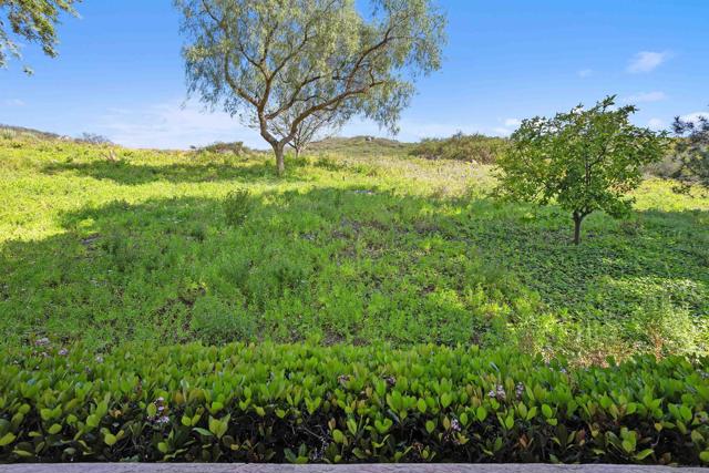 18515 Caminito Pasadero, San Diego CA: https://media.crmls.org/mediaz/bce8ff33-9583-4e89-b06f-cda0ed3d230c.jpg