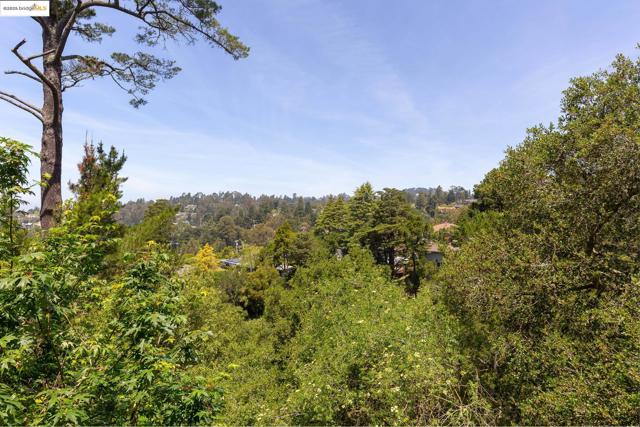 20 Ascot Ct, Oakland CA: https://media.crmls.org/mediaz/bcf61a7b-aebe-4993-b539-6fbc756d964c.jpg