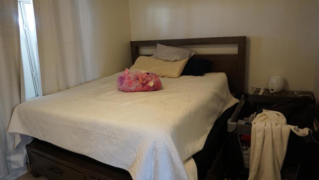 MLS #219139866DA image #10